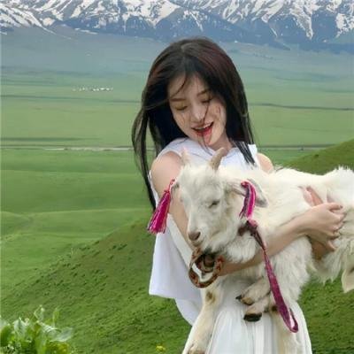 哈兰·科本的庇护所